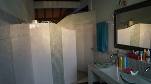 Habitación estándar doble | Baño | Ducha, toallas y papel higiénico