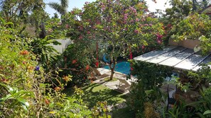 A pool area with a covered deck, surrounded by lush greenery and flowering plants.