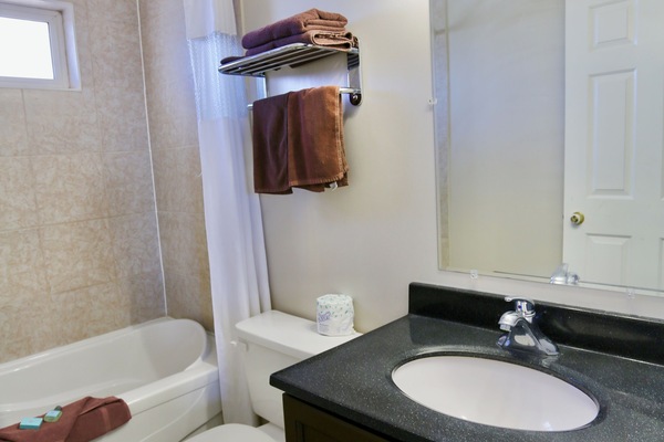 Towels, soap, shampoo, toilet paper