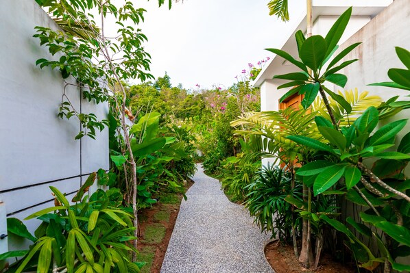 A narrow, gravel pathway flanked by lush greenery and white walls, leading to a building with a sloped roof.
