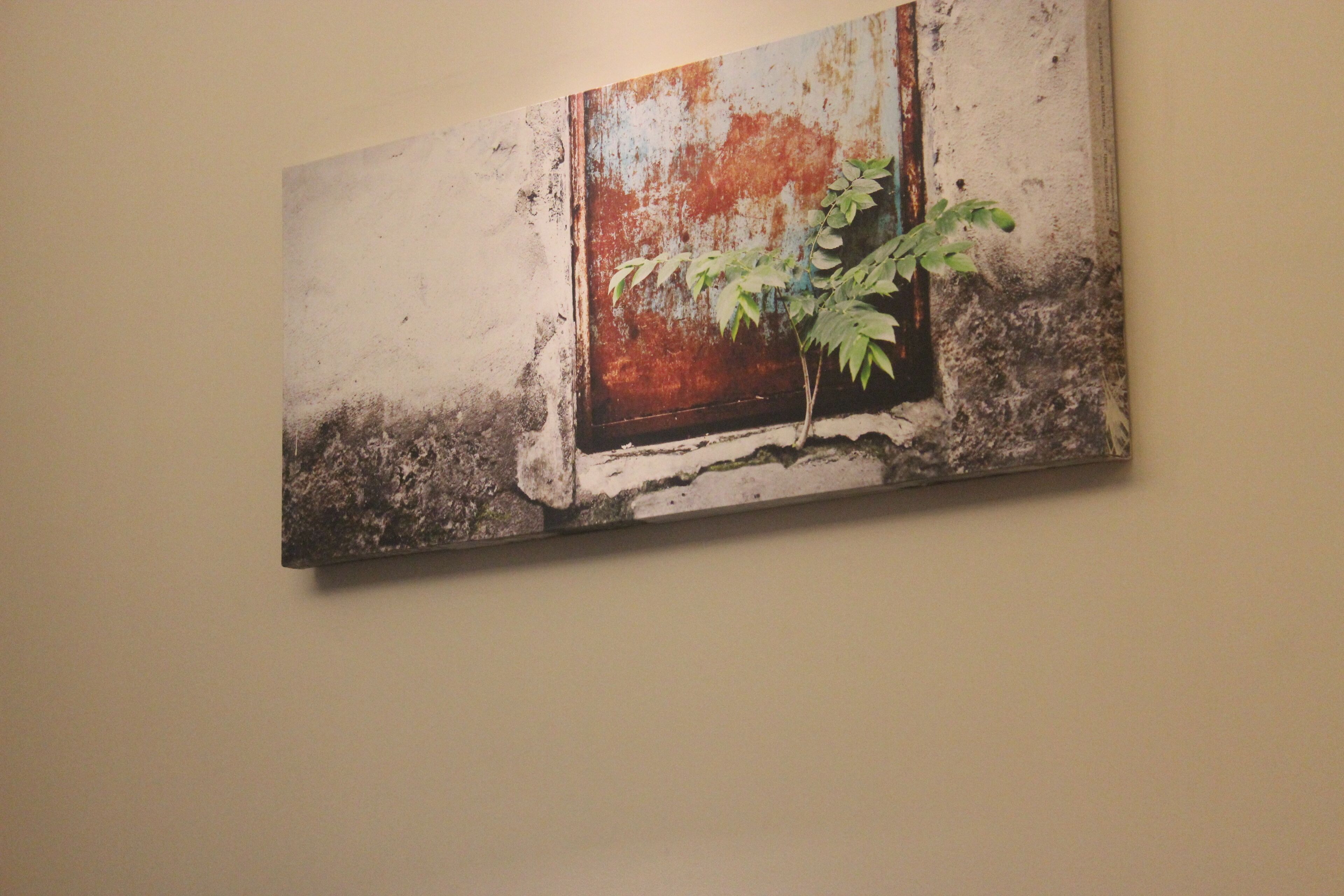 Une œuvre d’art murale représentant une plante qui pousse à travers le cadre rouillé d’une fenêtre.