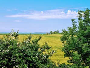Billede uden beskrivelse, 2 af 8, knap