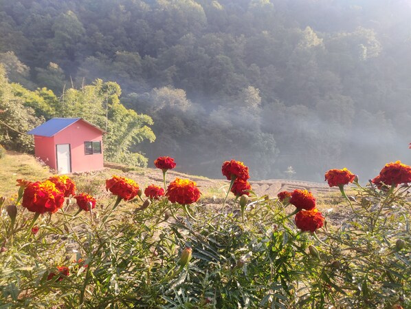 Jardin