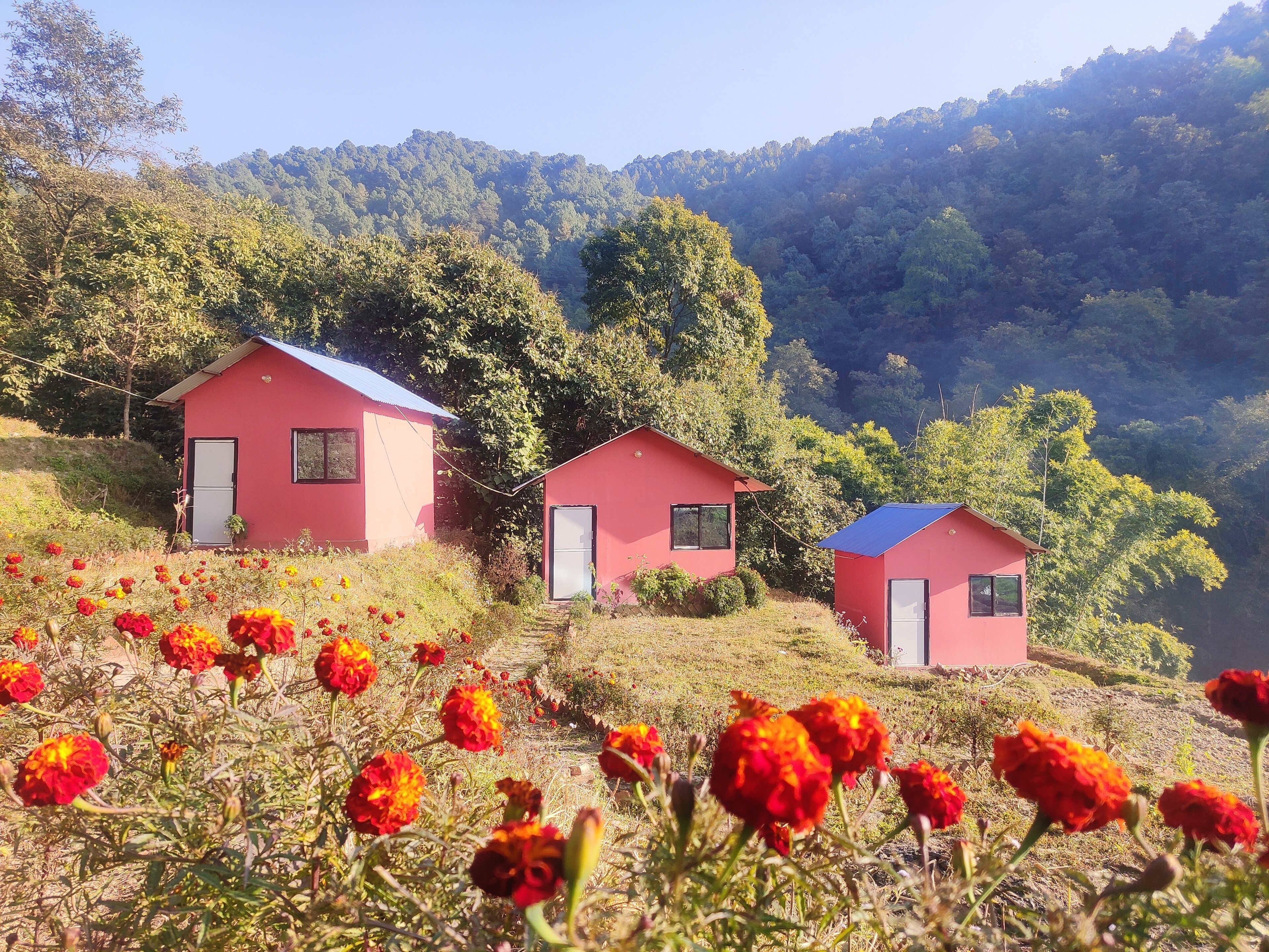 Quang cảnh vườn