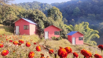 Quang cảnh vườn