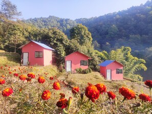 Vue sur le jardin