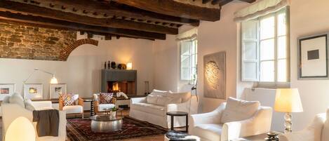 Télévision, cheminée, livres, chaîne hi-fi