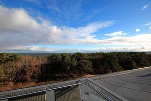 Imagen sin descripción, 4 de 15, botón