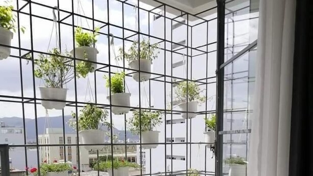 A balcony with a metal grid structure, potted plants, and a view of the cityscape. - Florence Apartment (Nha Trang)
