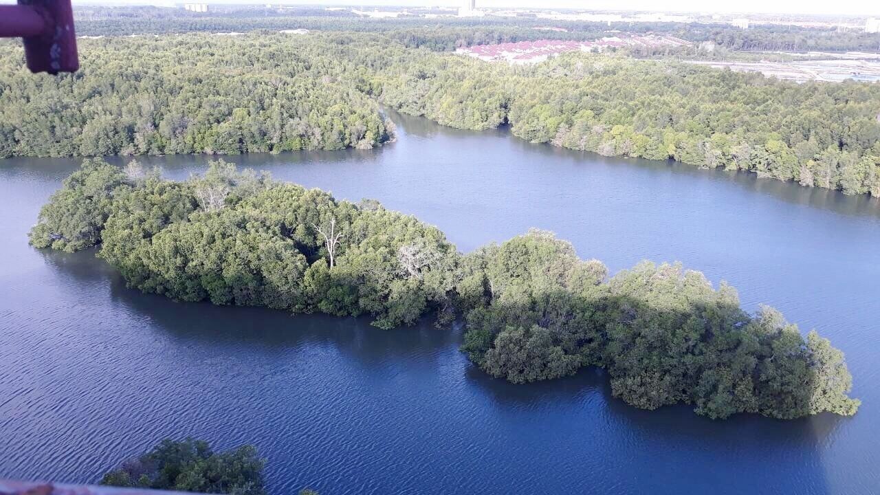 An aerial view of a river with several small islands covered in dense vegetation.