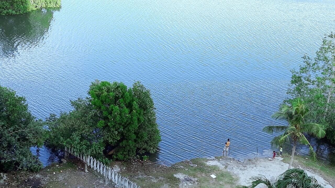 Un lago tranquilo con abundante vegetación y una cerca de madera a lo largo de la orilla.