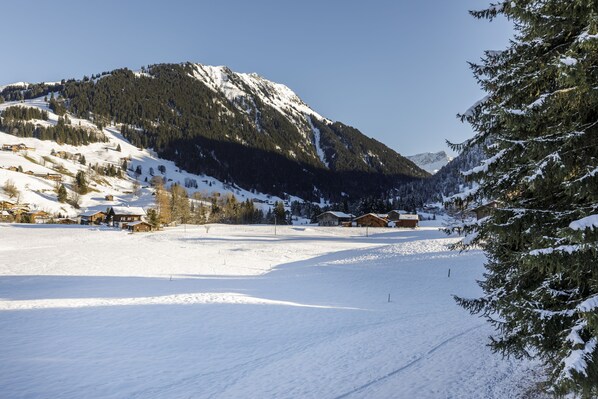 A snow-covered landscape with houses and a mountain in the background.
