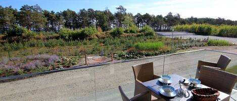 Opções para refeição ao ar livre