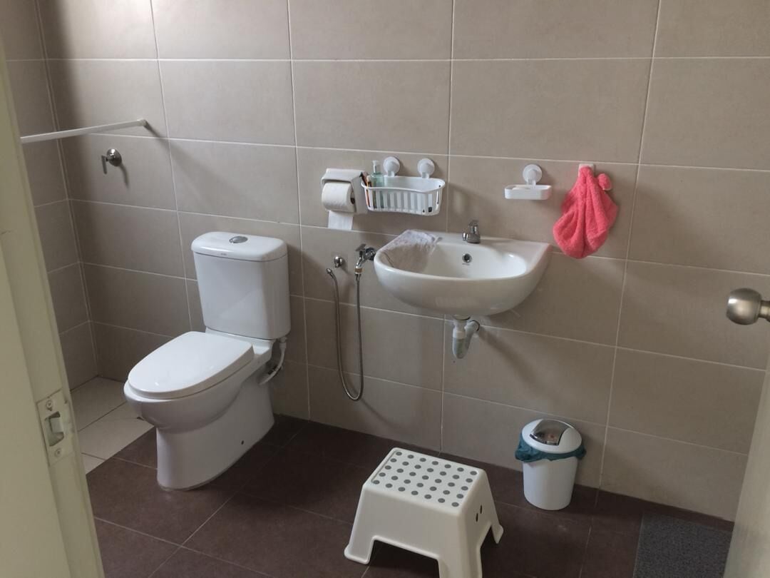 Hair dryer, towels, shampoo, toilet paper