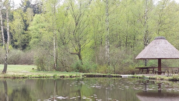 Um lago calmo com folhas de nenúfar, rodeado por vegetação exuberante e um pavilhão com telhado de palha.