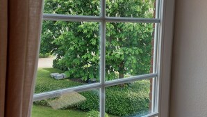 Uma janela com vista para um jardim e árvores.