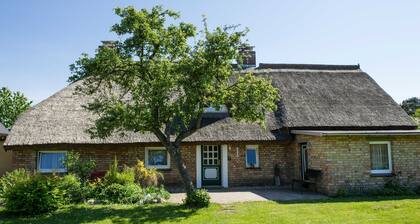 Vacation home Augustin with thatched roof - Holiday home Augustin with thatched roof in Ostseebad