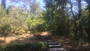 A stone staircase leading up a hill in a wooded area. - Beautiful Villa in Green Provence with Swimming Pool and Bowling Alley (Tourves)