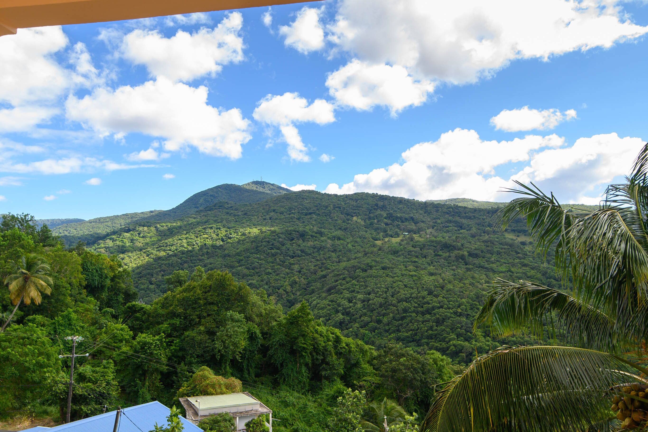 A lush green landscape with a mountain in the background and a clear blue sky.