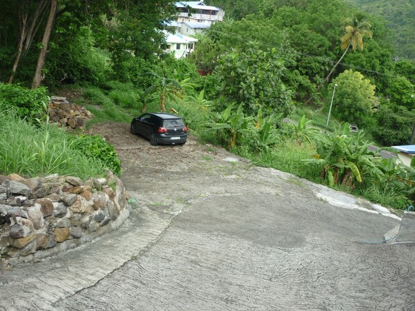 A car parked on a narrow, unpaved road surrounded by lush greenery and a stone wall on one side. - Mountain view acomat pointe noire gp (pointe noire)