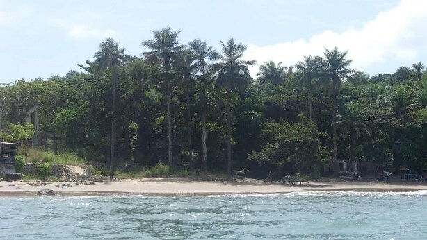 A beach with palm trees and a sandy shore. - Hakaba (Conakry)