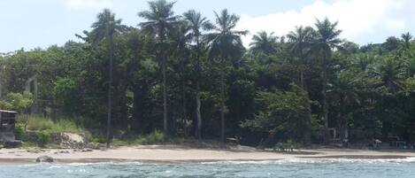 Traslado desde/hacia la playa