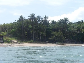 Beach shuttle