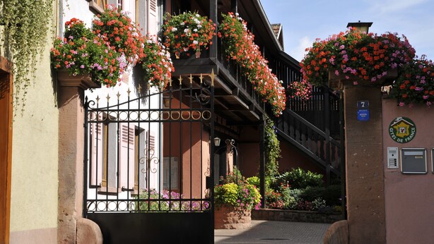 Um edifício tradicional europeu com entrada protegida por portão, caixas de flores nas varandas e uma placa indicando o número 7.