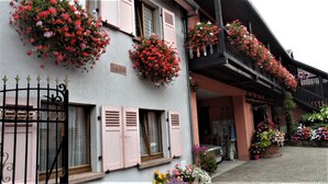 A building with pink shutters, flower boxes, and a balcony with hanging baskets. - Detached house in a quiet private courtyard in the heart of Bergheim (Bergheim)