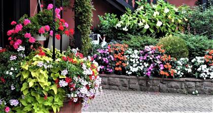 Maison indĂ©pendante dans cour privĂ©e au calme au cĆur de Bergheim