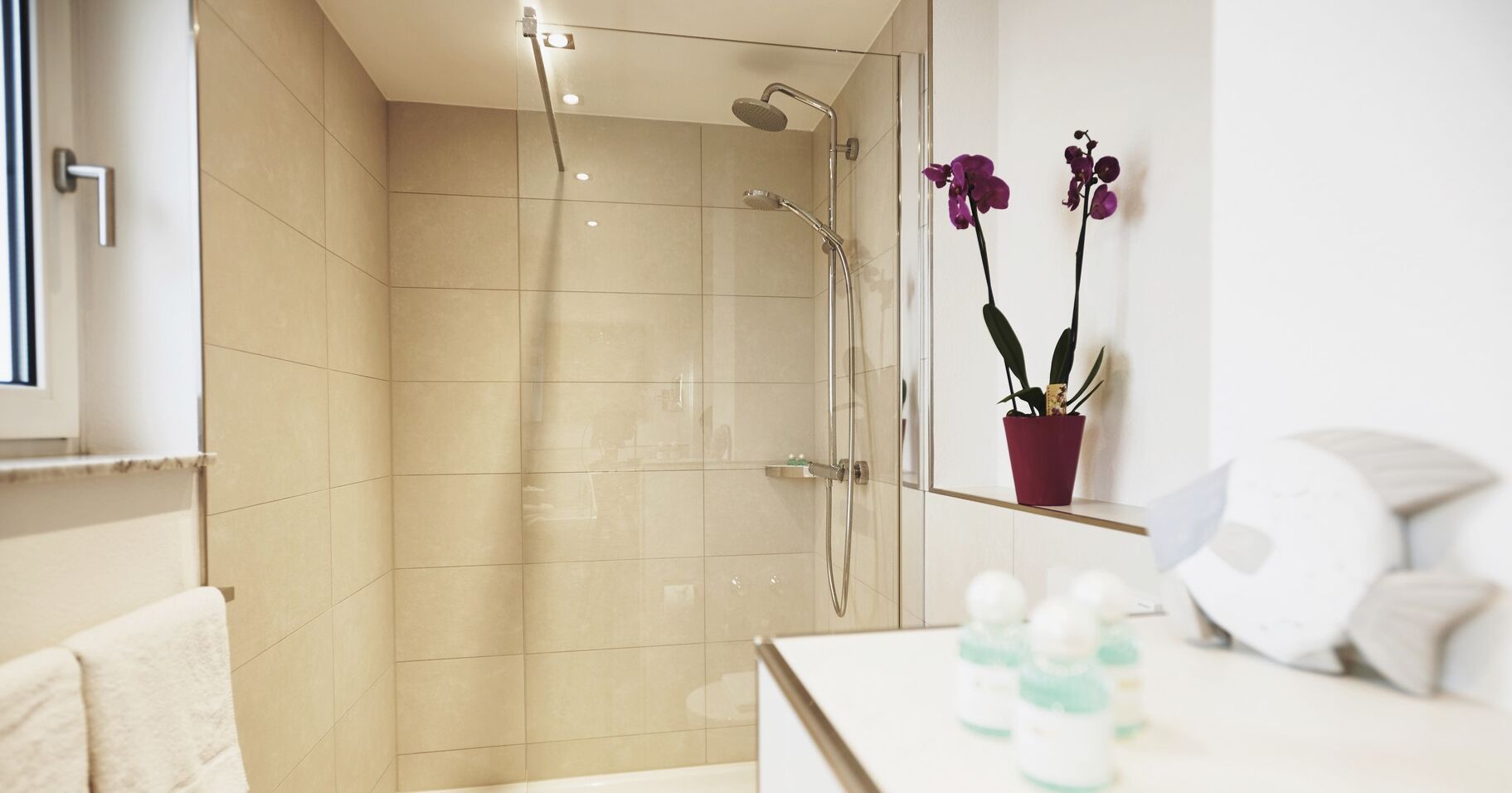 Dusche, Haartrockner, Handtücher, Seife