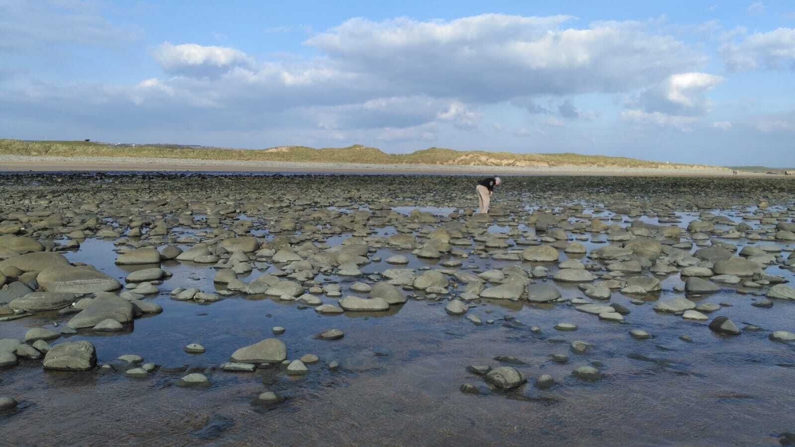 Een rotsachtig strand met verspreide stenen en een persoon in de verte.