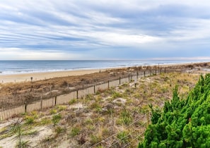 A beach with a wooden fence, sparse vegetation, and a clear sky.