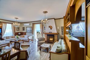 Télévision à écran plat, cheminée, lecteur de DVD, livres