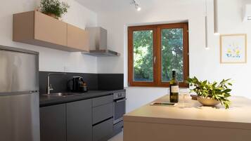 Fridge, oven, stovetop, dishwasher