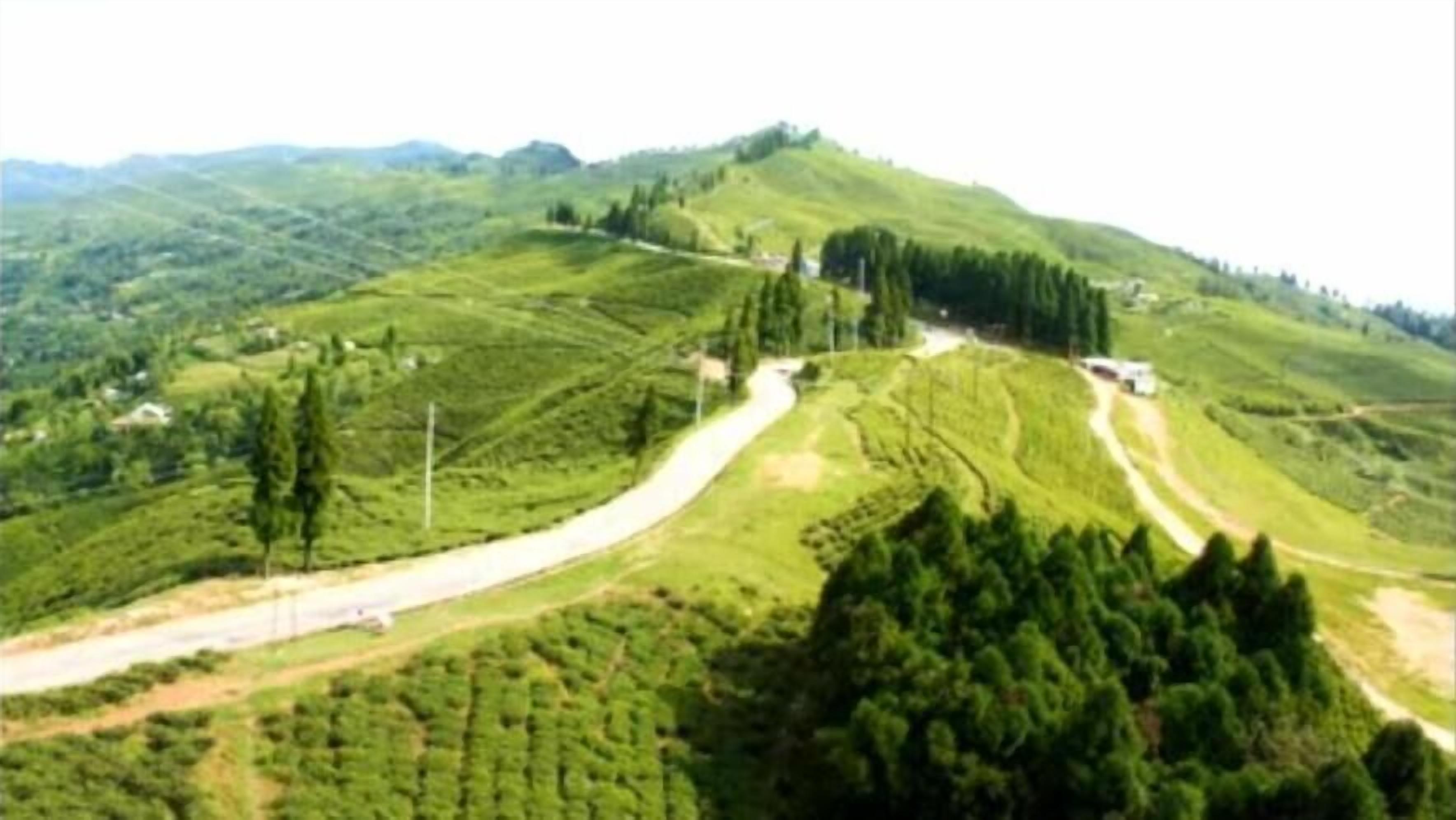 Un paysage rural avec une route sinueuse, des champs verdoyants et des arbres dispersés.