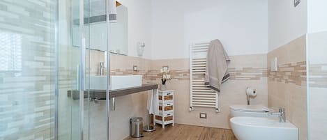 Shower, hair dryer, towels, toilet paper