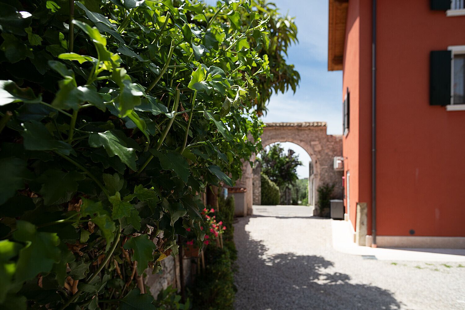 Parco della struttura