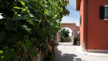 Área da propriedade