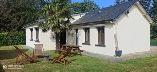 das kleine cauxtier zwischen landschaft und meer