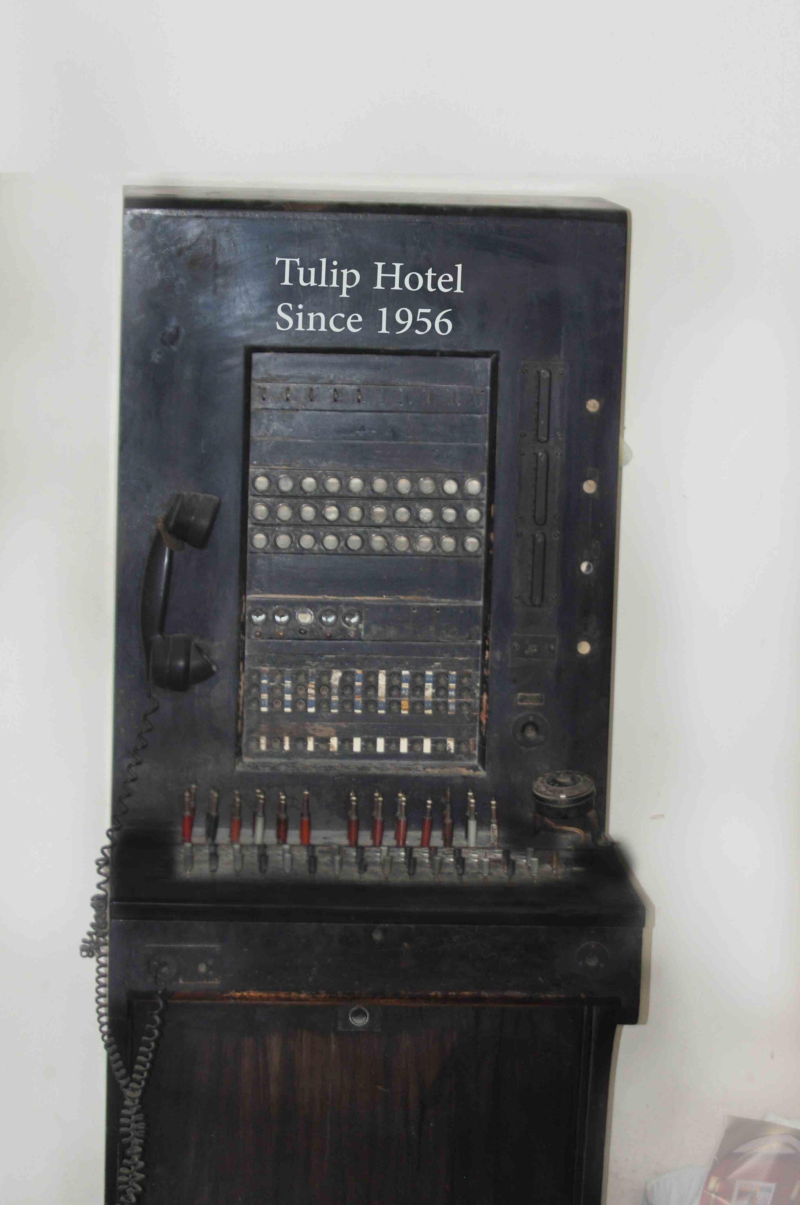 Photo - Tulip Hotel