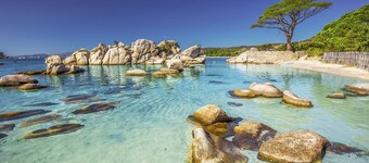 The beach on foot Villa 4 bd private pool Pinarello / Porto Vecchio South Corsica