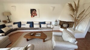 TV, fireplace, books