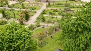 A garden with a gazebo, pathways, and various plants.