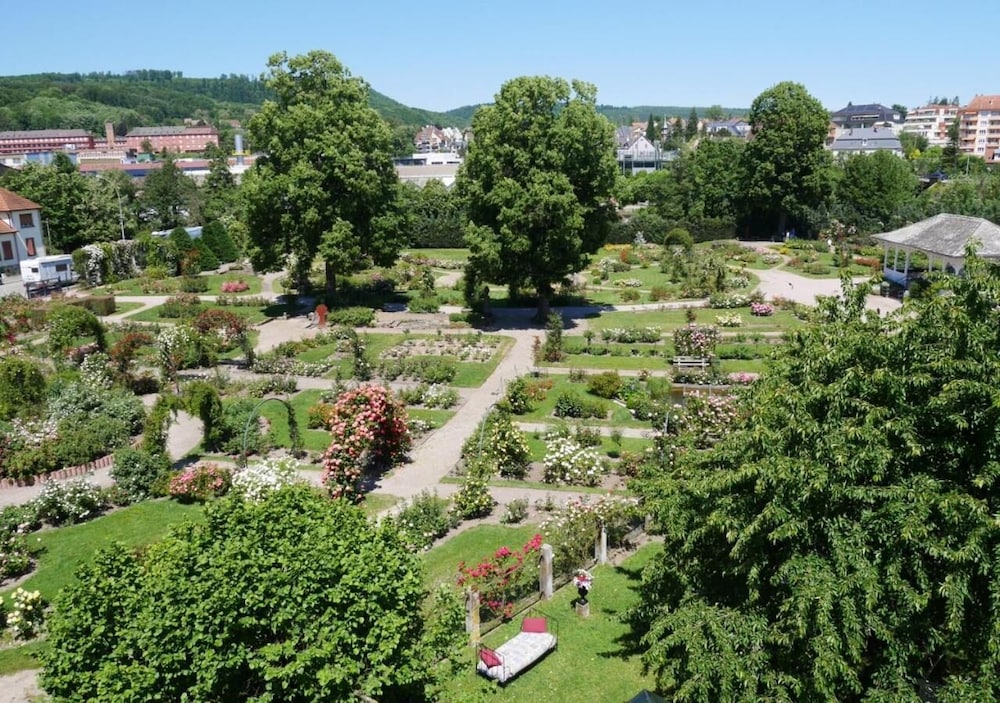 Le Jardin des Roses image