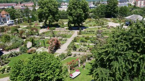 Un giardino con diverse piante e alberi, vialetti e un gazebo.