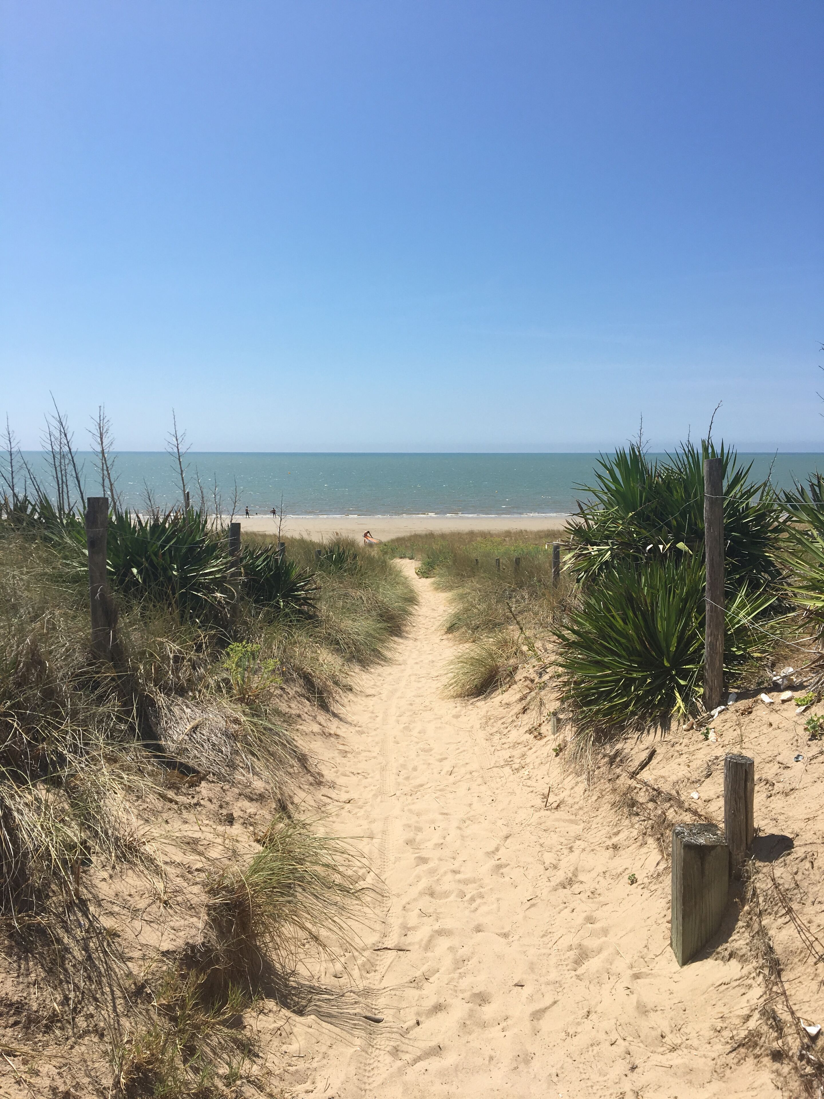 Un sentier de sable qui longe la plage et mène à l’océan, bordé de végétation et de poteaux en bois.