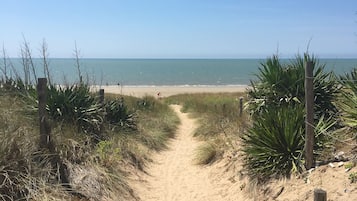 Un sentier de sable qui longe la plage et mène à l’océan, bordé de végétation et de poteaux en bois.