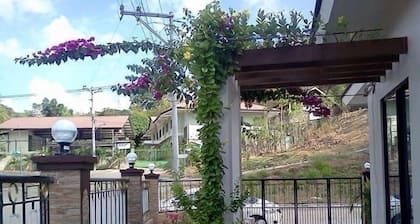 Green oasis near Cebu City