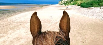 Gîte "de l'Ecurie" - 6-8 people - equestrian gîte - between sea and forest